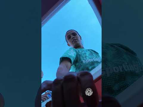 image para ilustrar o artigo