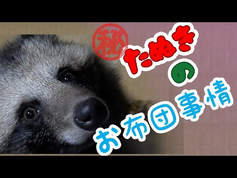 はじめ しゃ ちょ ー の 畑 たぬき はじめしゃちょー の本名や身長は プロフィール 迷惑系youtuberへずまりゅう凸にコロナ感染 Pcr検査は大丈夫か コロナ医療支援募金 声優 彼女 炎上 三股や所沢 年収 車 畑 大学などの詳細情報も