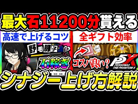【P5X】コードまでに貯めたい！最強石稼ぎになったシナジーの簡単な上げ方とギフトのコスパについて|ペルソナ5 ファントムX【もやし実況】