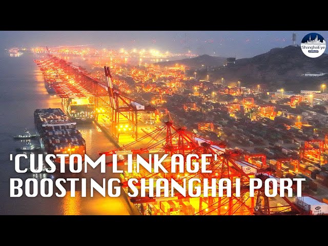 Shanghai sets up mechanism to build world-class shipping center