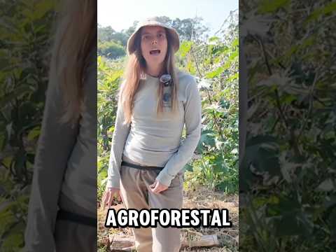 Los bosques Comestibles 🌳🥬 #shortvideo #shortsviral #shorts #short #agriculture