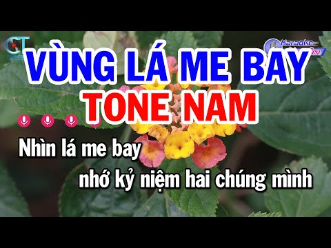 Karaoke Vùng Lá Me Bay Tone Nam Cm | Nhạc Sống Beat Mới | Karaoke Đồng Sen