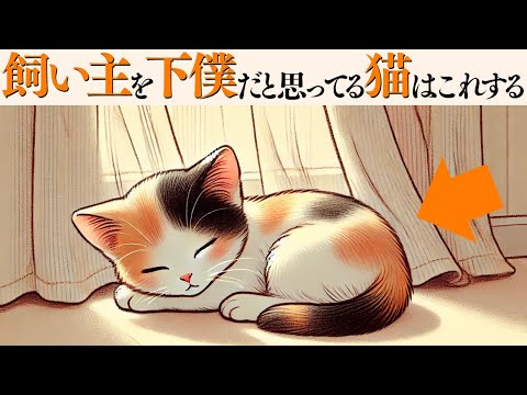 猫の動画サムネイル - 【飼い主を下僕だと思ってる猫がする行動】 猫の雑学 #猫 #ねこ