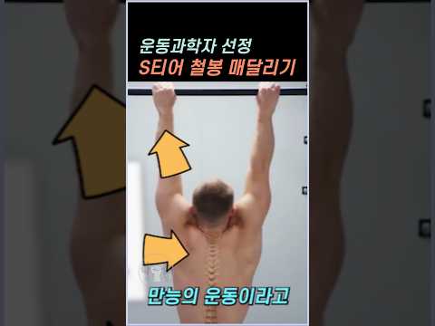 운동과학자 선정 S티어 철봉 매달리기