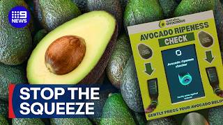 YouTube video thumbnail: New Smart Scanners Detect Avocado Ripeness Without Touching