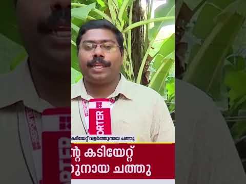 യജമാനനെ സ്നേഹിച്ച നായ ❤️🙄 #subscribemychannel