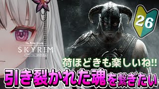 🔴The Elder Scrolls V: Skyrim AE｜🔰＃26｜引き裂かれた魂、2人が再会できますように🌙*゜