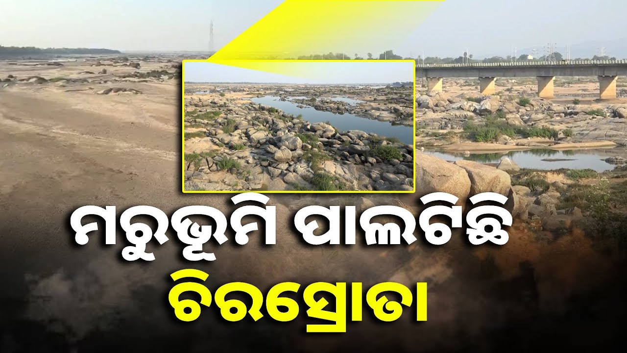 ଶୁଖିବାରେ ଲାଗିଛି ଚିରସ୍ରୋତା ମହାନଦୀ, ଚିନ୍ତାରେ ଲୋକେ || Knews Odisha