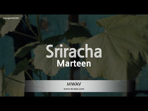 Marteen-Sriracha (Melody) [ZZang KARAOKE]