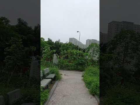 Lạc giữa khu vườn.