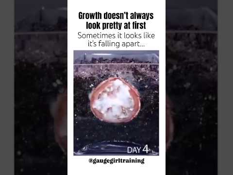 Growth doesn’t always look pretty at first ￼