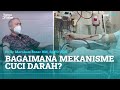 Understanding Dialysis: Key Concepts