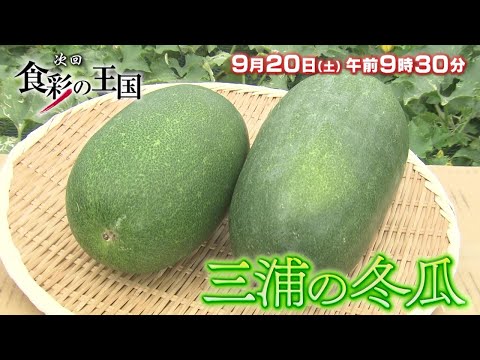 【食彩の王国】2025年9月20日（土）放送 予告動画