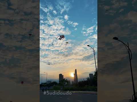 Có những ngày Sài Gòn dịu dàng bình yên đến lạ.. #Sudidaudo