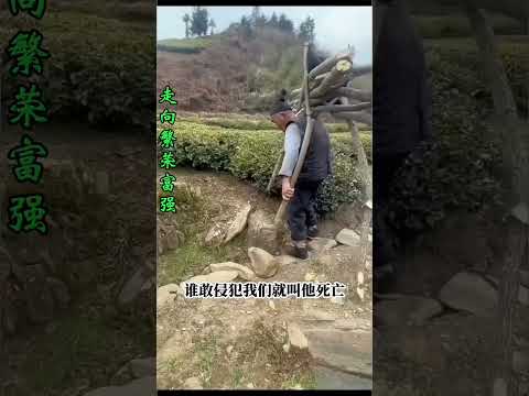 农民养老金每月不到20美元，老年农民生存面临严峻考验 #中国经济现状 #疫情冲击下的中国经济 #真实现状