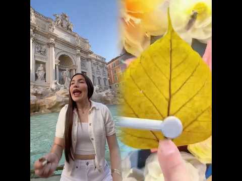 Que buena fuente de ingreso 😅😅