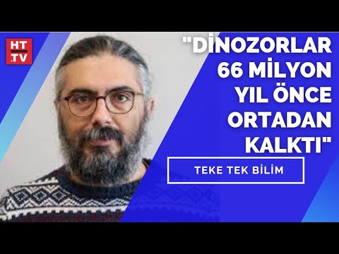 Büyük yok oluş nedir, dinozorların nesli ne zaman tükendi? Dr. Emrah Çoraman yanıtladı