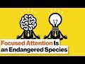 Meditation and Attention in Children