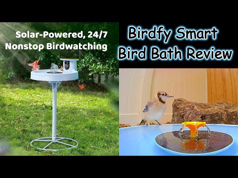 Birdfy Smart Bird Bath Pro Review #birdfy