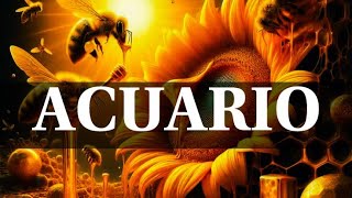 ACUARIO ♒ RECUPERA TU PODER!!💪👑EL FUTURO SERÁ EXITOSO!!🎲🤑#acuario #aquarius #tarot 