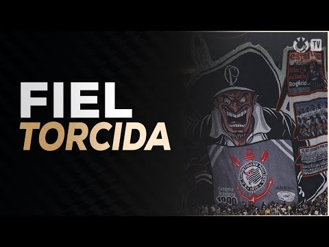 image para ilustrar o artigo