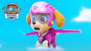 Air Pups to the Rescue! -  PAW Patrol Episode - Cartoons for Kids
