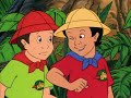 Butterfly Mascot Adventure Questions