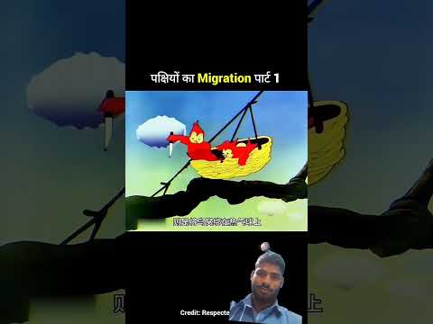 पक्षियों का migration पार्ट 1 #funny #trending #comedy