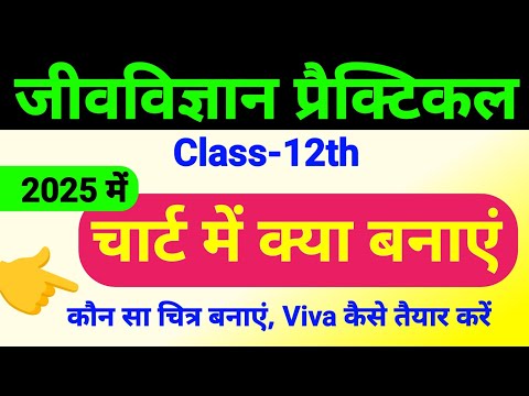 प्रैक्टिकल चार्ट 2025 | Class 12 Biology practical chart me kya banaye | class 12th biology chart