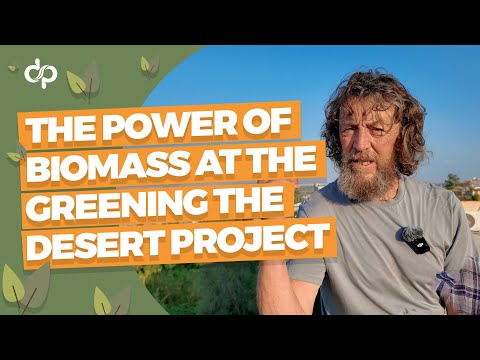 Designing Abundance: How Biomass Transforms a Barren Landscape