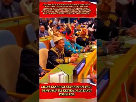 Tak Pernah Tinggal Di Indonesia Tapi Minta Merdeka ‼️😂#indonesia #nkri #nkrihargamati