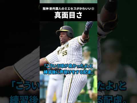 阪神 新外国人のミエセスがかわいすぎる件。【春季キャンプ2023】