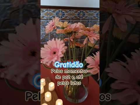 Apenas agradecer #motivacional #reflexão #deus #gratidão #gratitude #sorts #fe