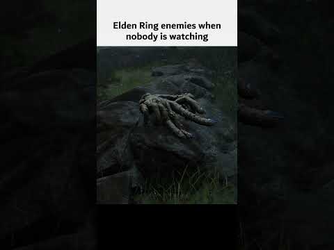 Tarnished is not Here SO..... #eldenring