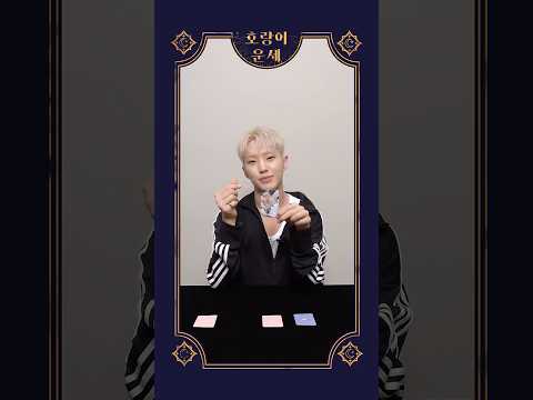 [HOSHI TAMTAM] <strong>호랑이</strong> 운세 #7