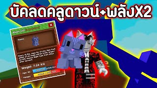 สูตรผลใหญ่!! บัคลดคลูดาวน์/สกิลแมวX2 ทำผลใหญ่ง่าย | Roblox Grow a Garden