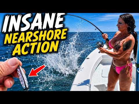 Insane near shore action *** chasing schools of fish with explosive runs video thumbnail