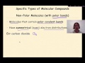 Covalent Bonding and Molecular Properties Review