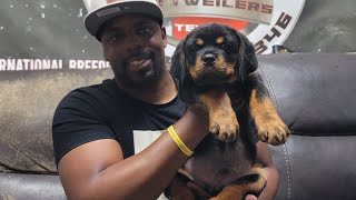 Big MIIIKEEEE FROM NC...PICKS UP A BEAR