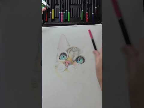 КОТИК  #малюємоолівцями#портретикотів#