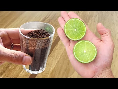 MORRIA E NÃO SABIA: É só misturar PÓ de CAFÉ com LIMÃO e não precisa mais comprar no mercado!!
