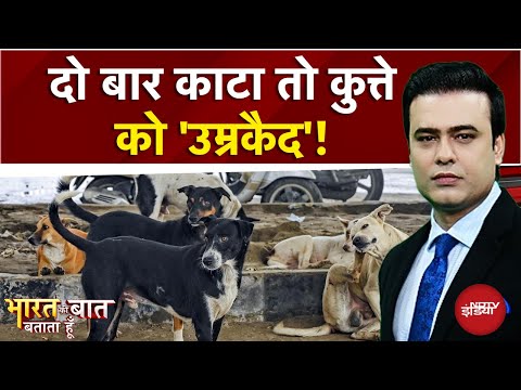 Stray Dogs: दो बार काटने पर कुत्ते को 'उम्रकैद'! Bharat Ki Baat Batata Hoon | Syed Suhail | UP News
