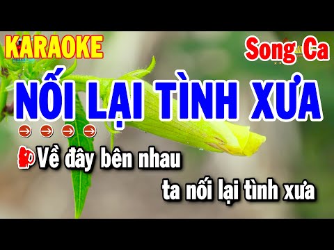 Karaoke Nối Lại Tình Xưa Song Ca Nhạc Sống Beat Chuẩn 2025 | Thanh Hải