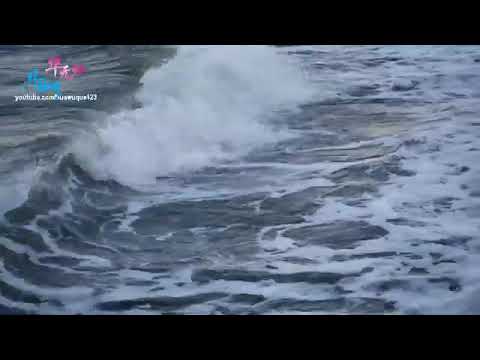 TIẾNG SÓNG BIỂN XÔ BỜ ĐI VÀO GIẤC NGỦ VỚI ÂM THANH CỦA BIỂN