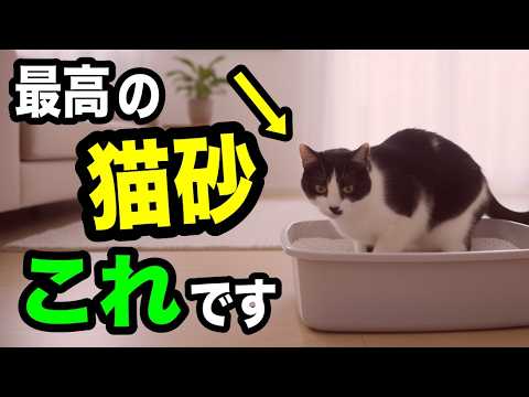 【最高の猫砂】ついに猫砂の“正解”が見つかりました【さくら組限定ライブ公式切り抜き】