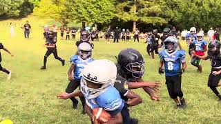 10u tigers vs ravens 