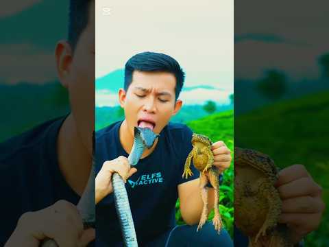 বিষাক্ত বিষদর সাপের সাথে কিভাবে খেলাধুলা করে ||hasor comedy video||reels video|best funny video||