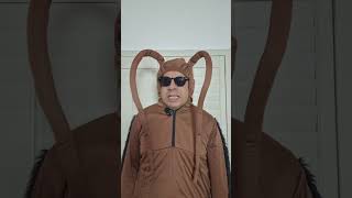 #humor #shortvideos #comedia #viral #risa