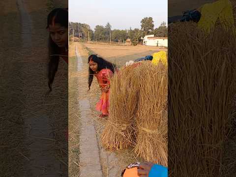 A car corona mazari #shortvideo #viralshorts #youtube Shima kumari
