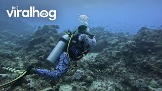 Bored Scuba Diver Plays With Plastic Bottle || ViralHog